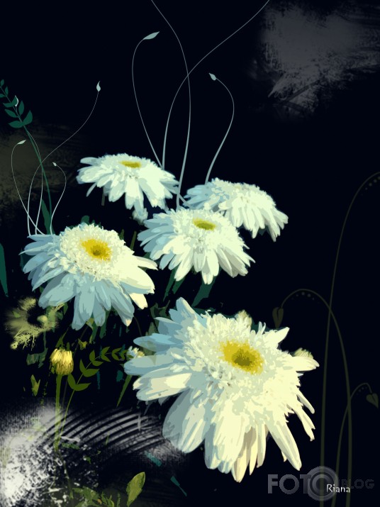 flowers in the dark