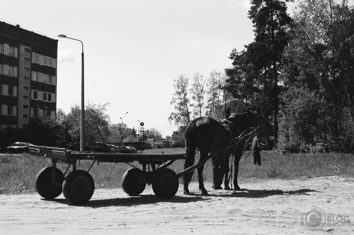 Slokas čigāni atbrauca zāli sapļaut