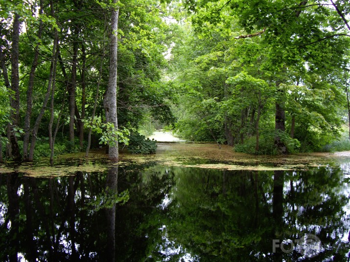 Ezeres parks