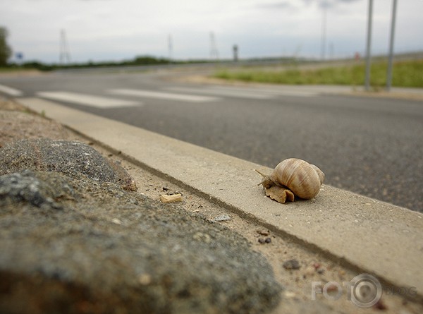 Kā gliemezis Ādažos pār ceļu gāja...