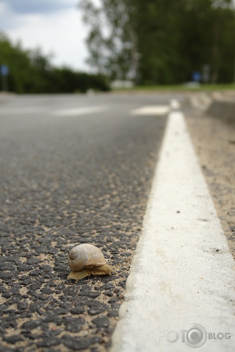 Kā gliemezis Ādažos pār ceļu gāja...