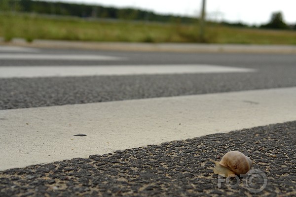 Kā gliemezis Ādažos pār ceļu gāja...