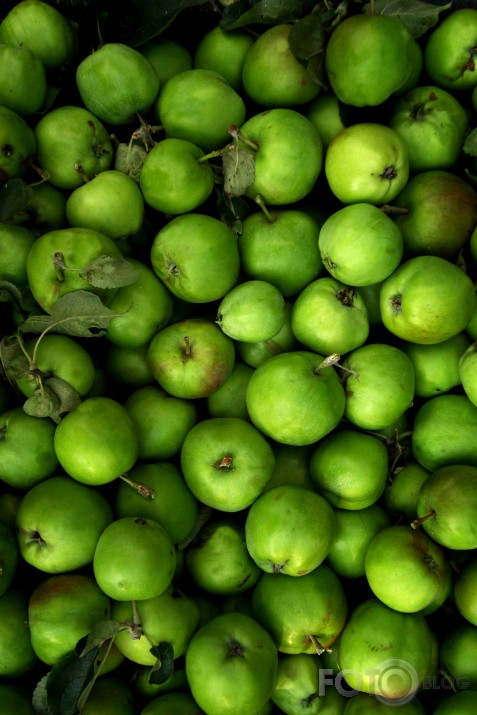 apples so green