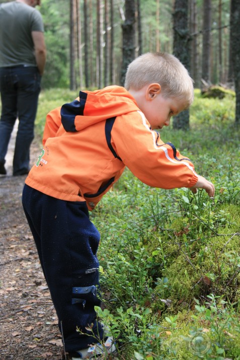 Gailenēs