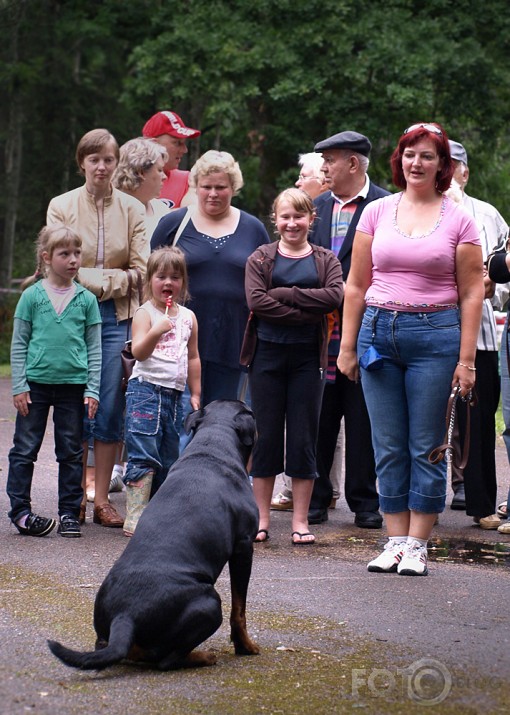 Suņu parāde