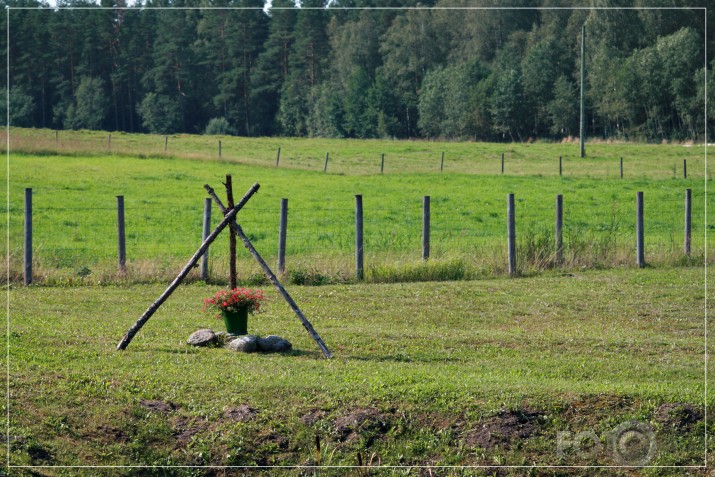 Pasaule ir pilna vientuļnieku