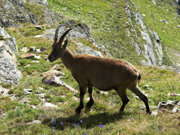 Nedomā - es te ilgi nestāvēšu!