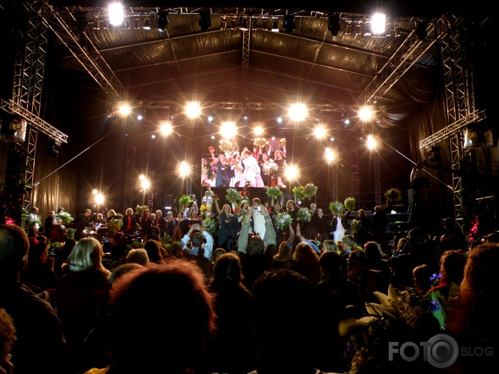 Lāčplēsis 2008 - Brtniekā