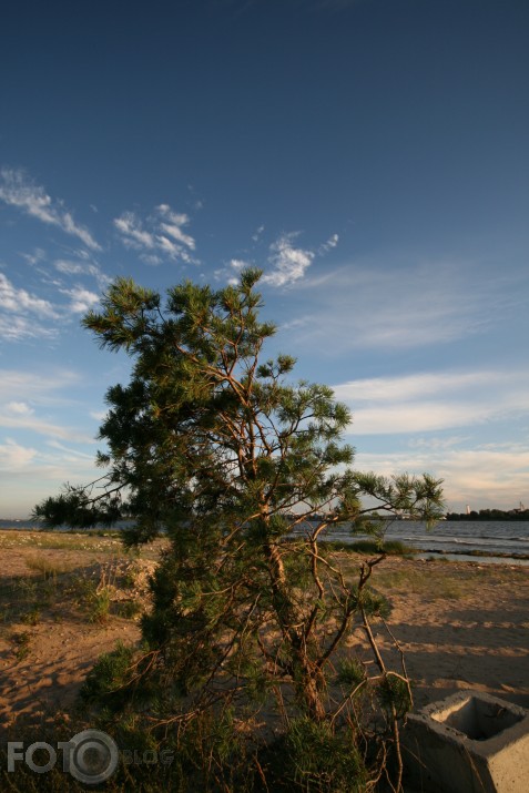 Nogurusī