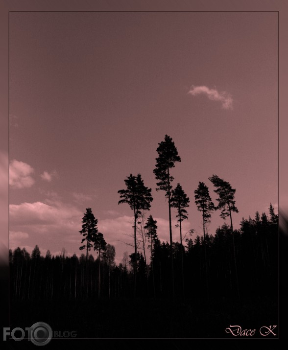 Vientulība