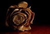 Wooden Rose