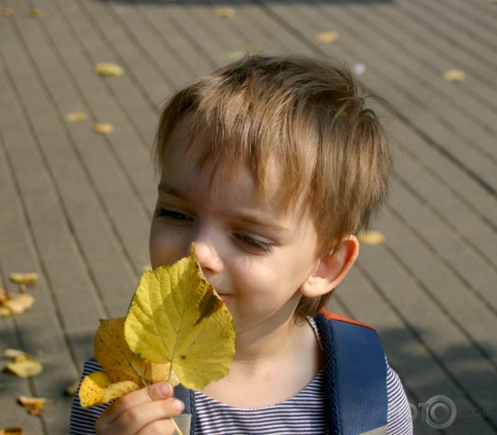 es pasmaržoju rudeni.