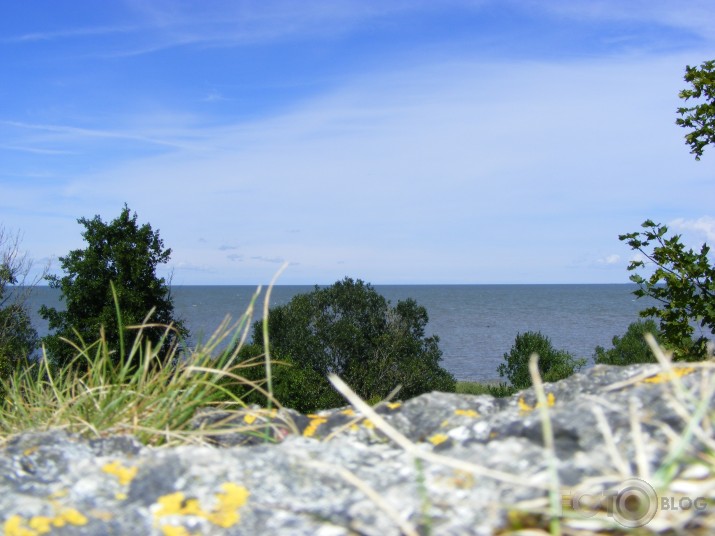 Saaremaa