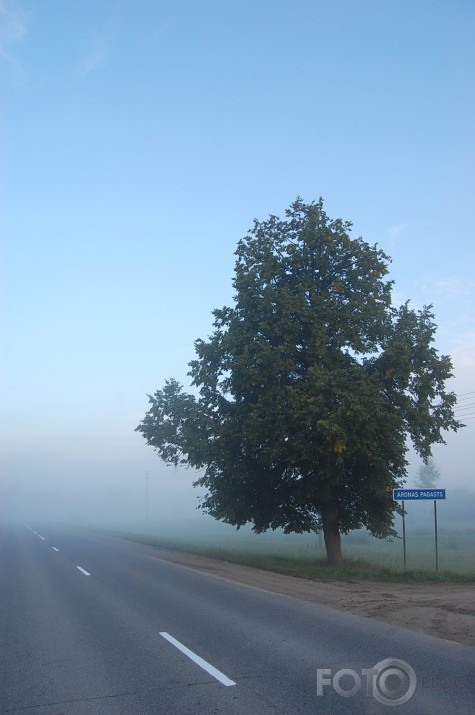 iebraucot miglā Aronas pagastā