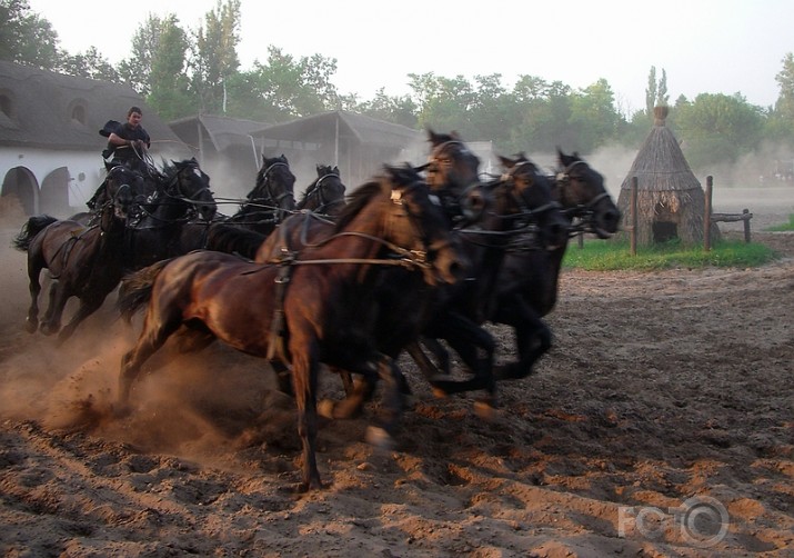 Auļos