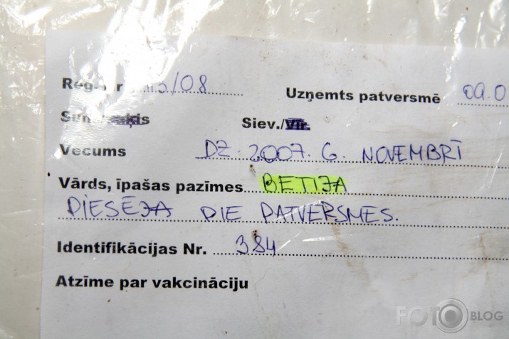 suņa dzīve...