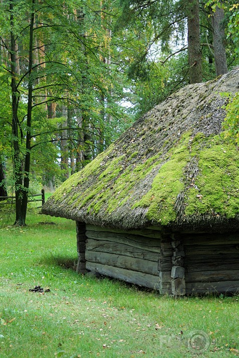 Brīvdabas muzeja valdzinājums 2