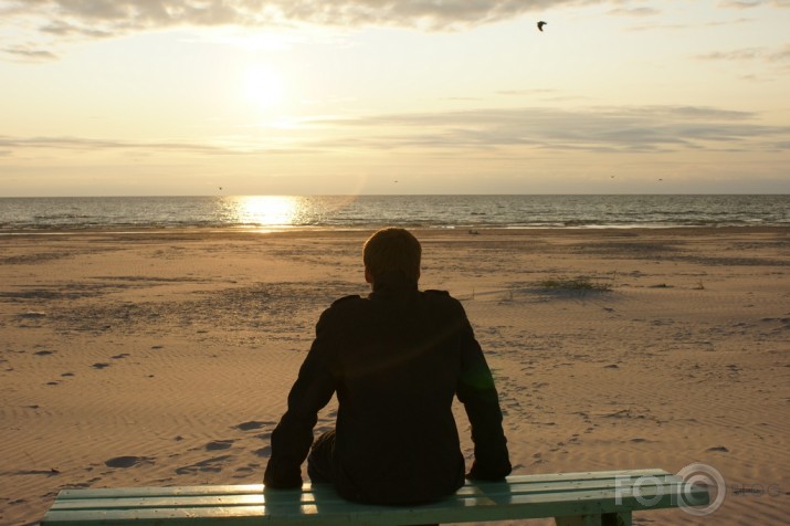 Lonely Day