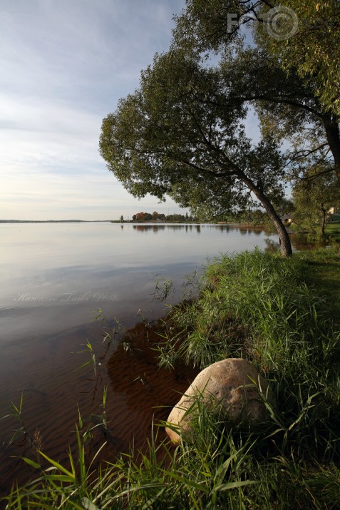 upmalītē varde noskumuse
