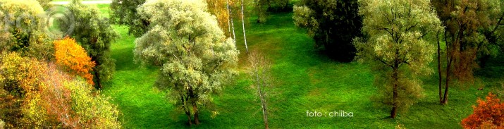 košs rudens.