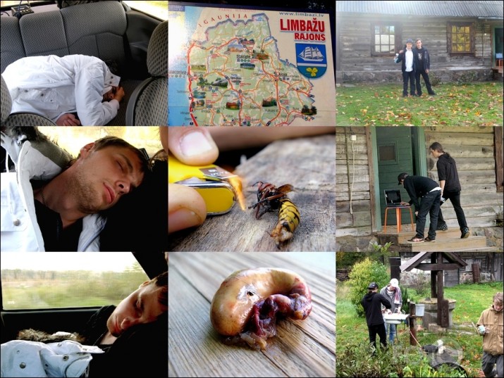 brīvdienu izbraukums