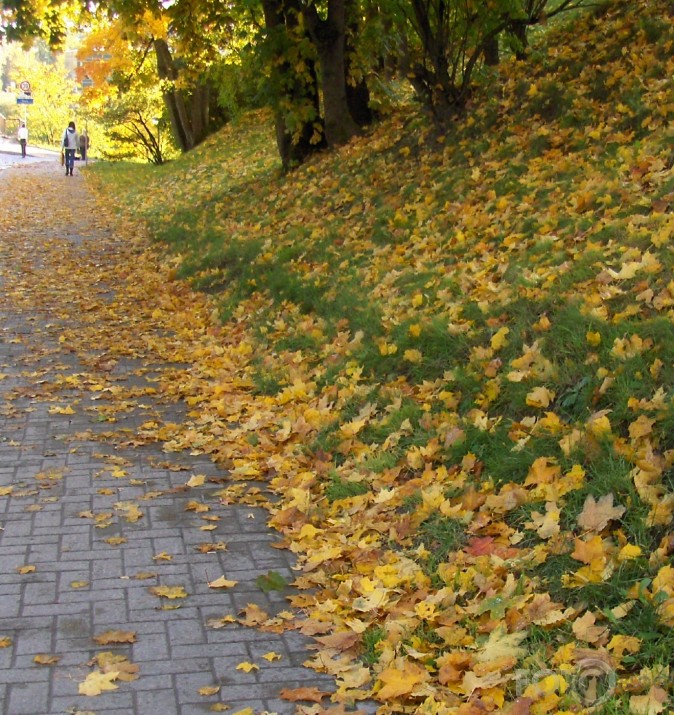 Nāk rudentiņis... a ziemu sola smagu...