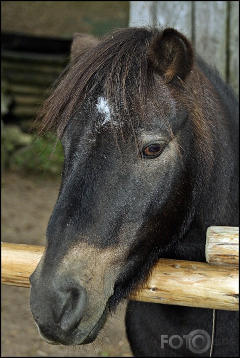 Rīgas ZOO