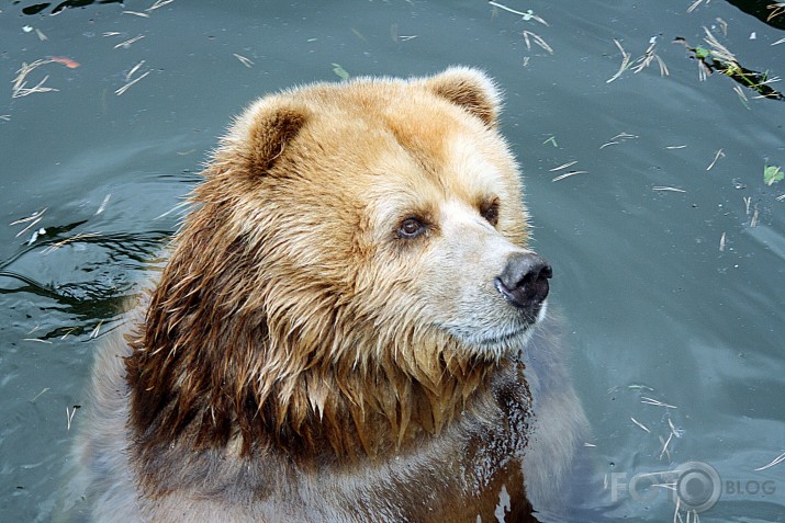 Rīgas ZOO