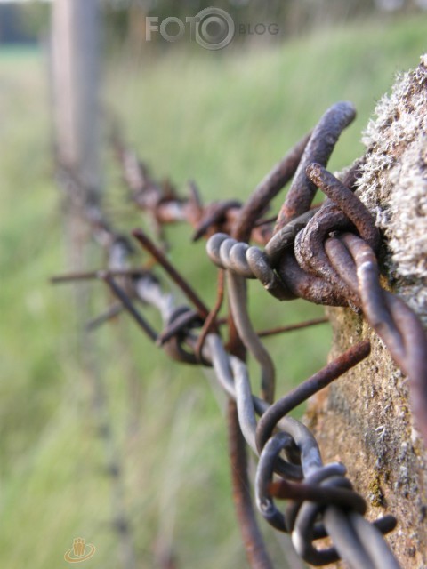 Dzeloņdrāts.