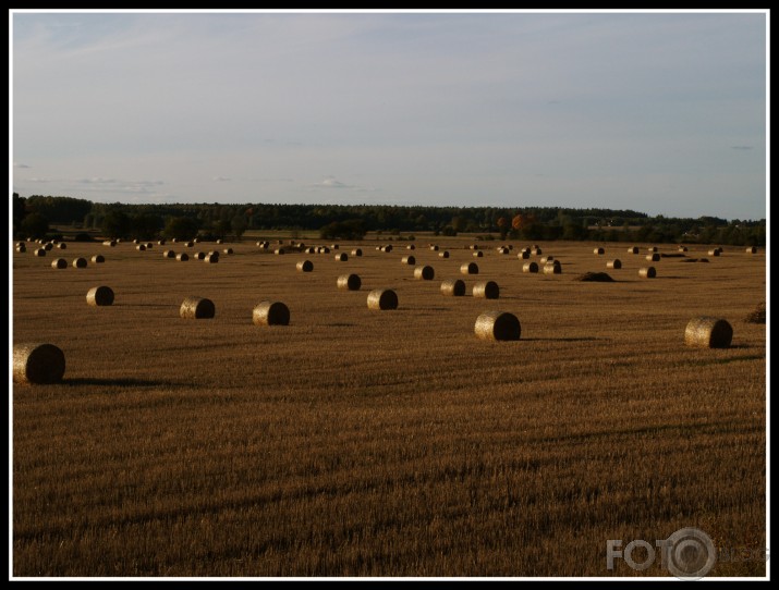 rudens lauks...