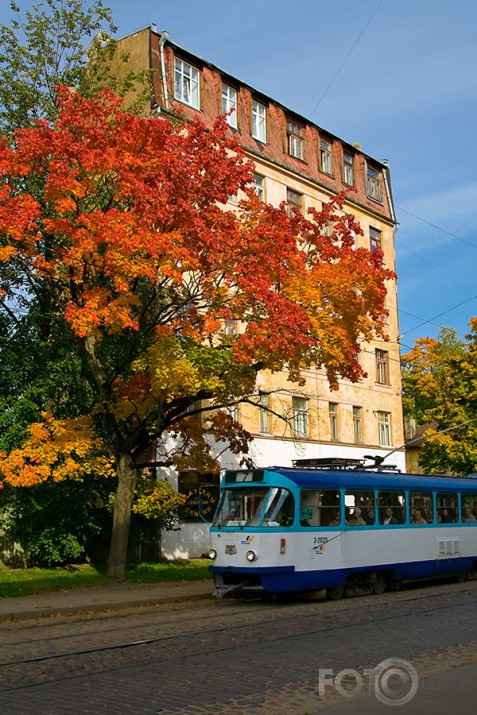 Rudens krāsas Maskavas ielā