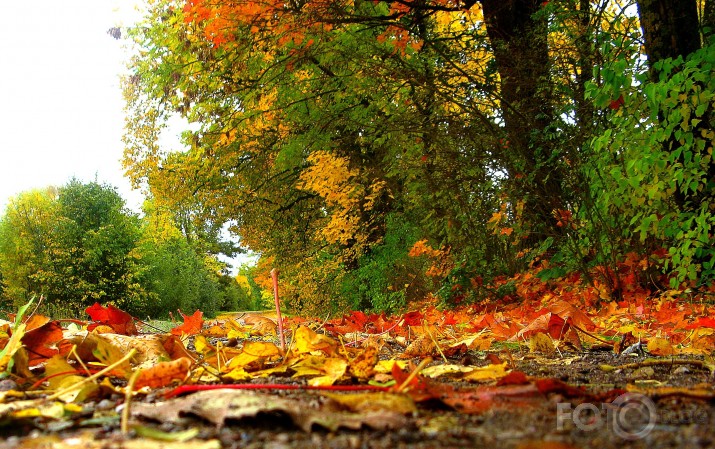 nāk rudens un izkrāso...