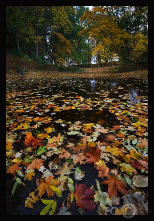 Rudens upe