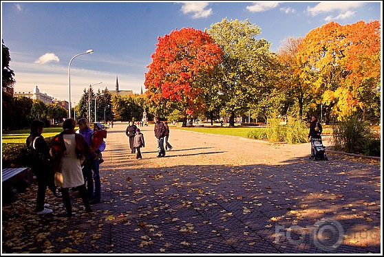 treniņš