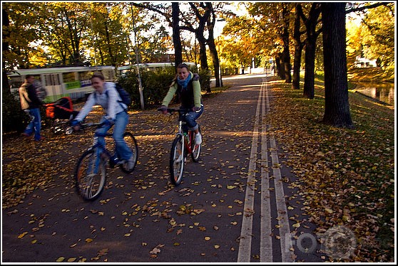 treniņš