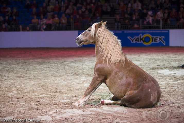 Jean Francois Pignon show  Tallinā !