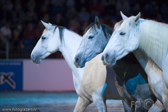 Jean Francois Pignon show  Tallinā !