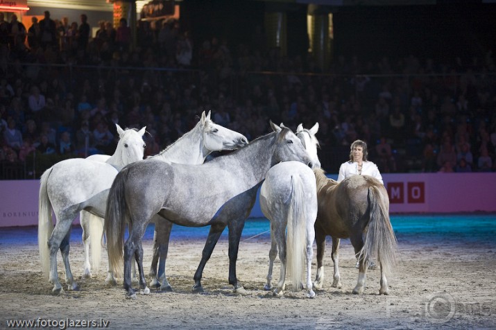 Jean Francois Pignon show  Tallinā !