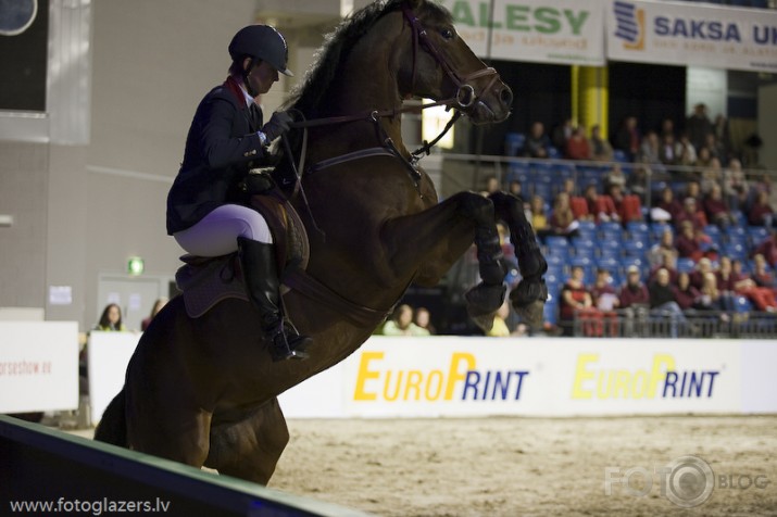 Tallinn International Horse Show - sacensības !