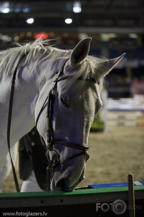 Tallinn International Horse Show - sacensības !