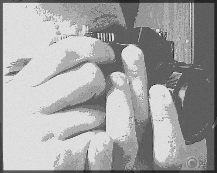Zenit pasportrets*