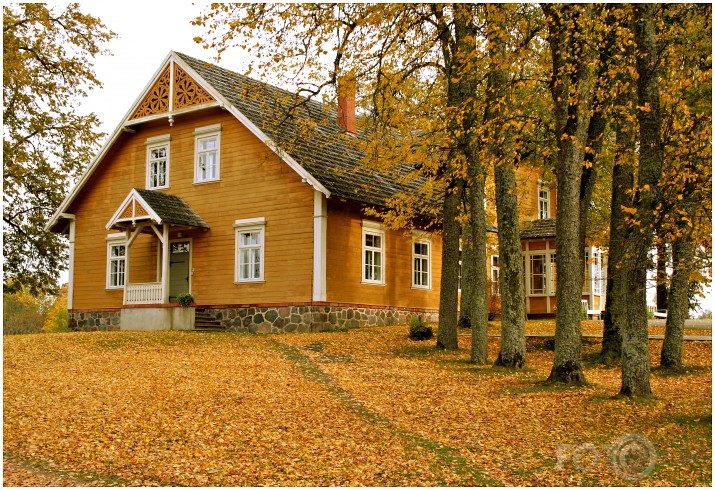 Zelta rudens
