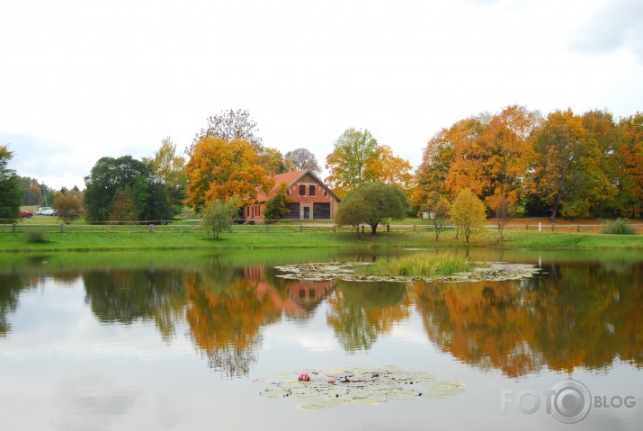 Rudens atspulgs