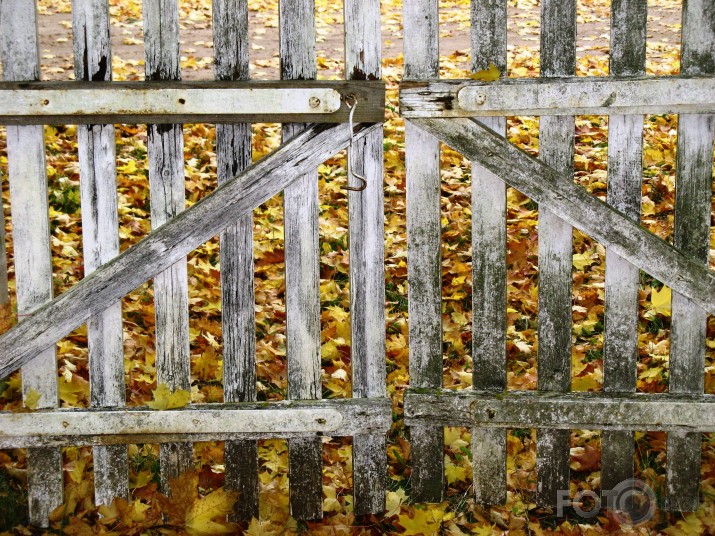 Kurzemes rudens stāsti