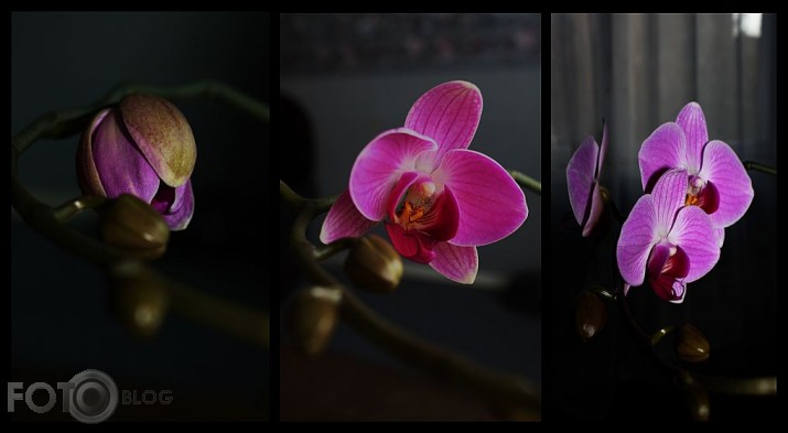 turpinajums sekos