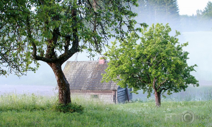 Vasaras rīts..