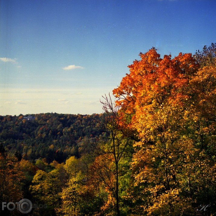Rudens