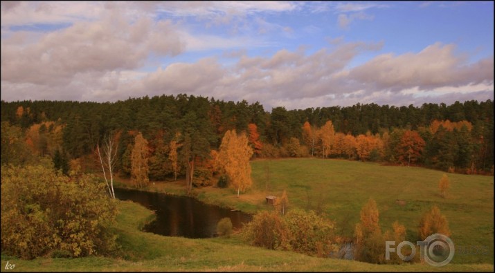 atvasara pilnā plaukumā