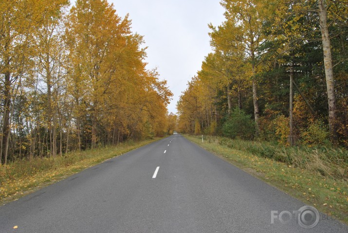 Rudens šoseja P111