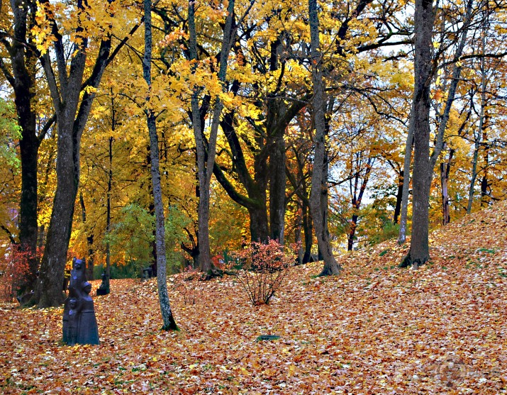 Kuldīgā rudens vienmēr skaists 3